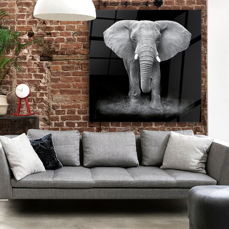 Tableau décoratif en verre éléphant noir et blanc design